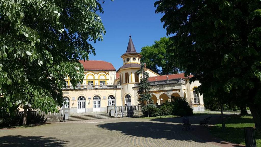 Hotel Royal Spa Баня-Ковиляча Екстер'єр фото